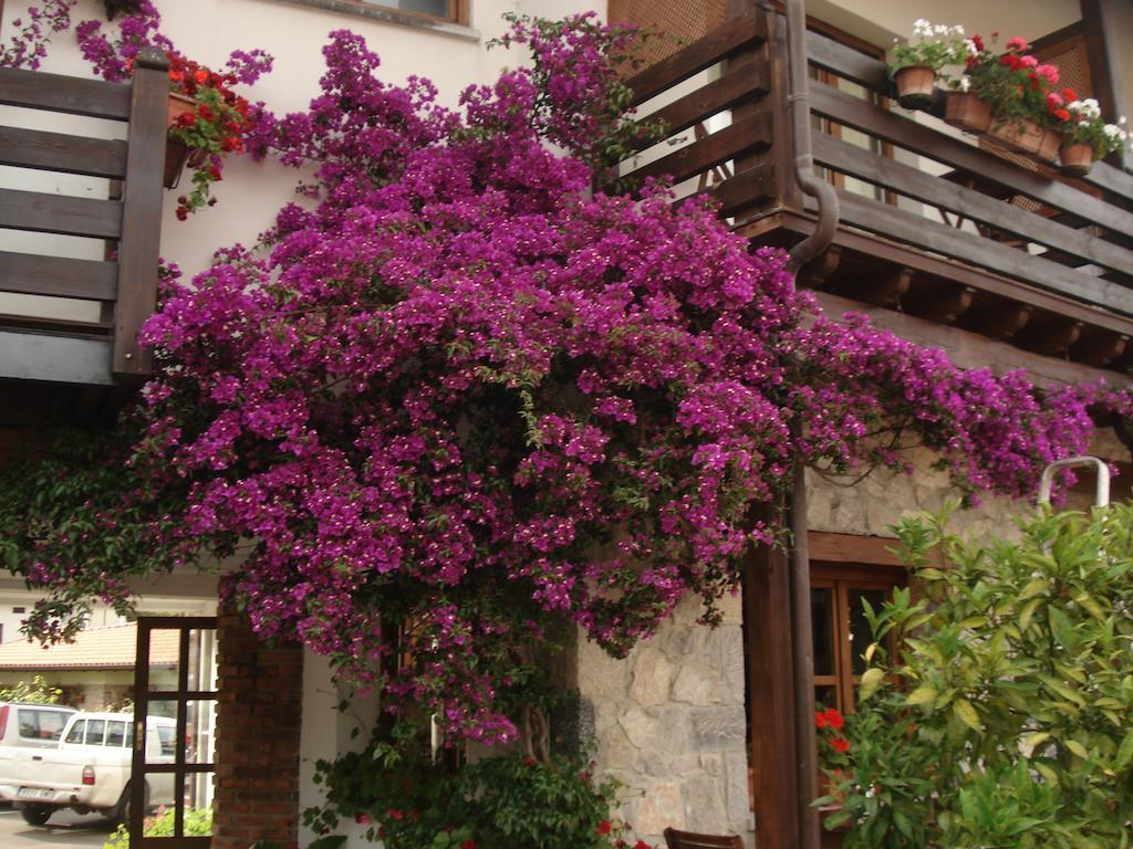 Moran Playa Hotel Celorio  Exterior photo